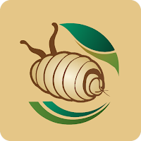 Cocoon Purchase