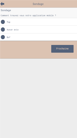 CSE OMDP PARIS Screenshot 3