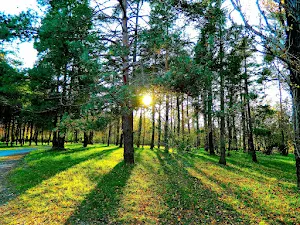 Nature Wallpaper HD Screenshot 2