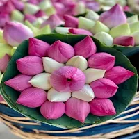 Beautiful flower bouquets
