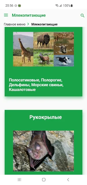 Животные Саудовской Аравии Screenshot 3