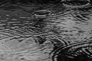 Rain wallpapers Screenshot 3