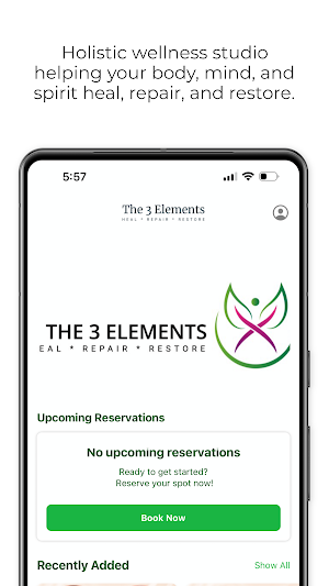 The 3 Elements Screenshot 1