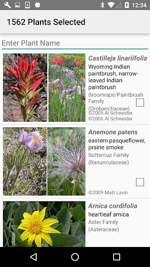 Wyoming Wildflowers Screenshot 2