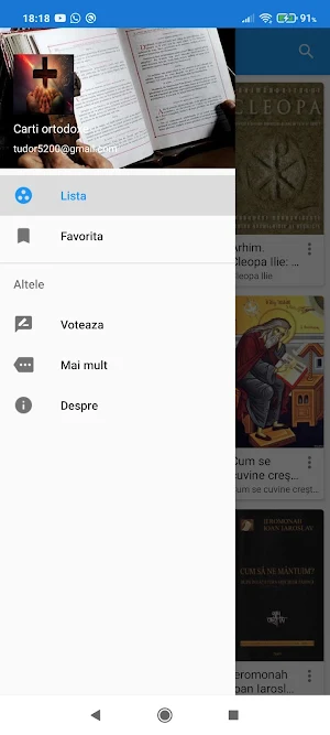 Cărți ortodoxe Studii Biblice Screenshot 2