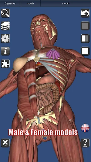 3D Bones and Organs (Anatomy) Screenshot 1