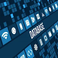 Pakistan Lite Database
