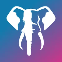 Elephant Bet