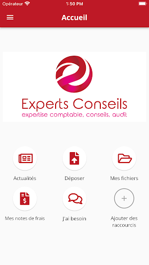 Experts conseils Screenshot 1