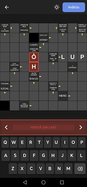 Integrame in limba romana Screenshot 3