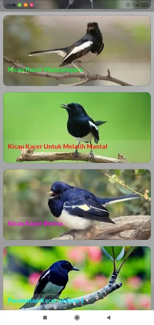 Masteran Kacer Jawara Screenshot 2