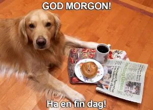 God morgon Bilder Screenshot 1