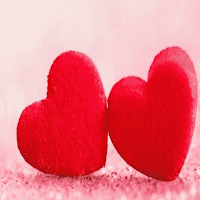 الحب-love