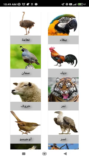 تعلَّم أصوات وأسماء الحيوانات Screenshot 0