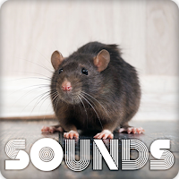 Rat Sound Ringrones