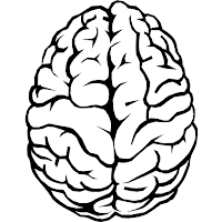 brain test