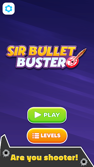 Sir Bullet Buster Screenshot 0
