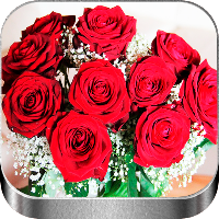 Flores y Rosas Rojas imágenes