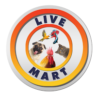 Live Mart
