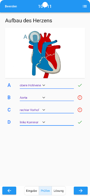 Körperlehre Screenshot 0