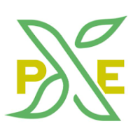 Produce Experience