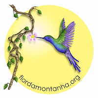 Flor da Montanha