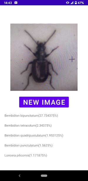Insect identifier Screenshot 3