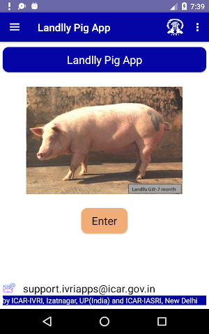 IVRI - Landlly Pig App Screenshot 0