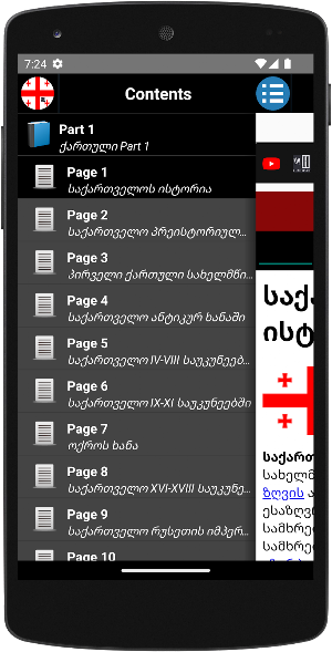 History of Georgia Screenshot 0