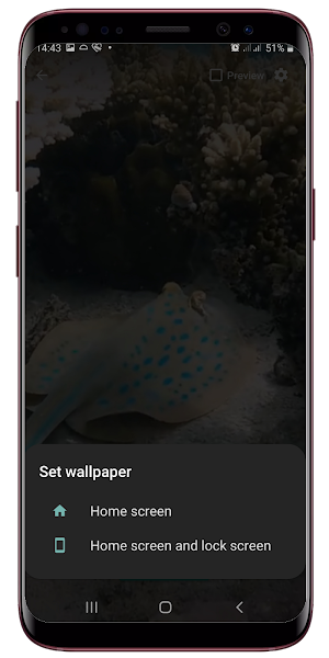 Under Sea Live Wallpaper Screenshot 3