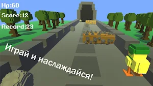 Nimble Ducks Screenshot 3