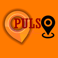 PULSO GPS