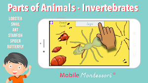 Parts of Animals Invertebrates -Montessori Zoology Screenshot 0