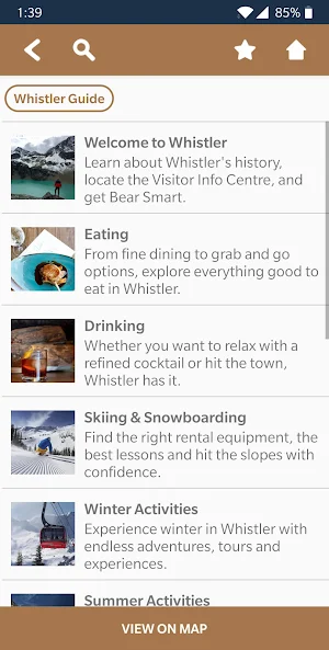 Executive Hotel Whistler Screenshot 3