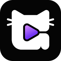 Gato Video