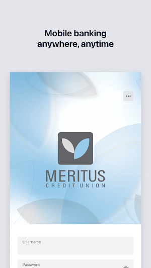 Meritus Credit Union Screenshot 0