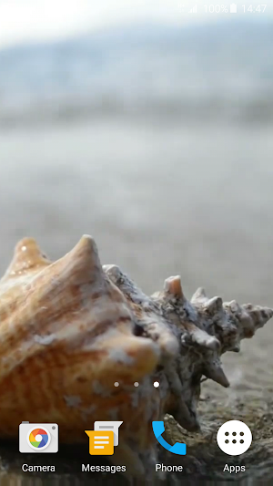 Sea Shell 4K Live Wallpaper Screenshot 2