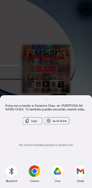 PUERTOSALSA RADIO CHILE Screenshot 2