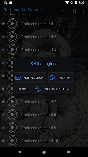 Rattlesnake Sounds ~ Sboard.pro Screenshot 2
