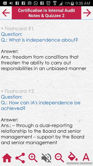 Internal Audit 1400 study Notes,Concepts & Quizzes Screenshot 0