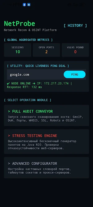 NetProbe: Net Recon & OSINT Screenshot 0