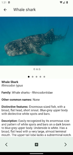 Coastal Fishes Screenshot 2