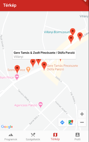Borútitárs Screenshot 1