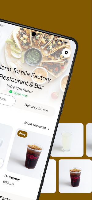 Plano Tortilla Screenshot 1