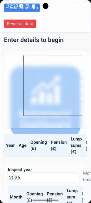 Retirement Dashboard Screenshot 2