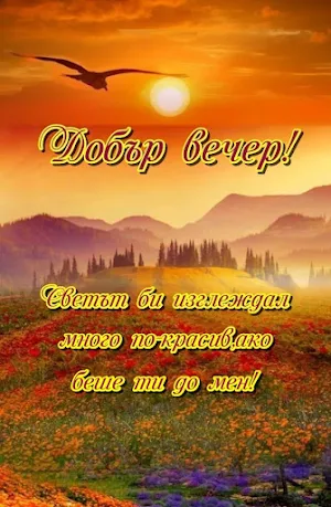 Добър вечер!! Screenshot 0