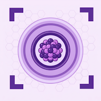Physics Solver - Homework Help
