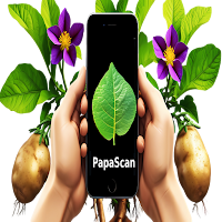 Papa Scan