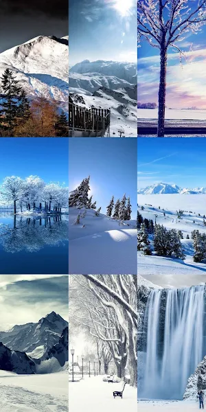 Nature Wallpapers Screenshot 3