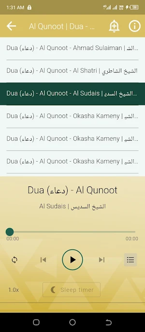 Al Sudais Offline Mp3 Quran Screenshot 2